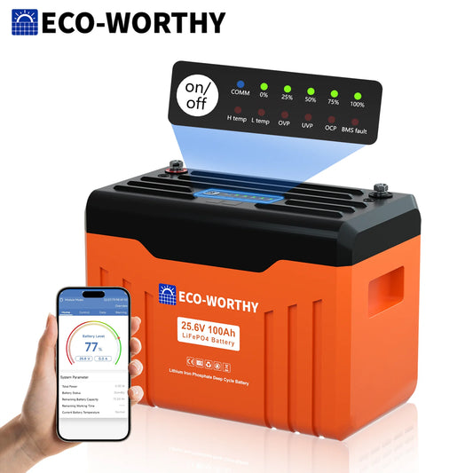 ECO-WORTHY LiFePO4 Lithium Battery With Bluetooth Low Temperature Protection