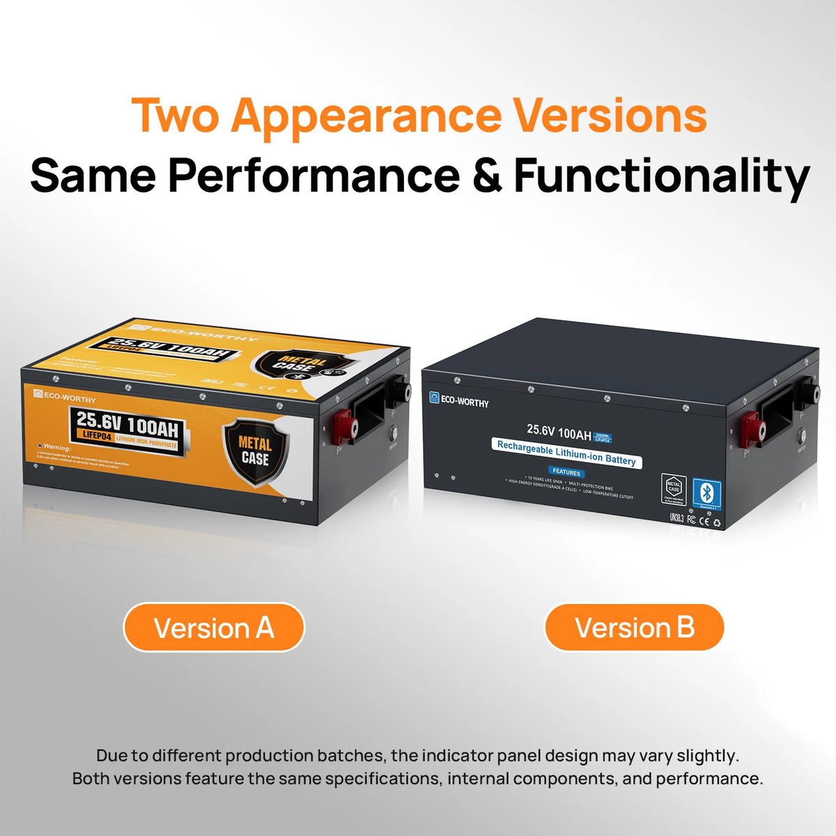 ECO-WORTHY LiFePO4 Lithium Battery With Bluetooth Low Temperature Protection
