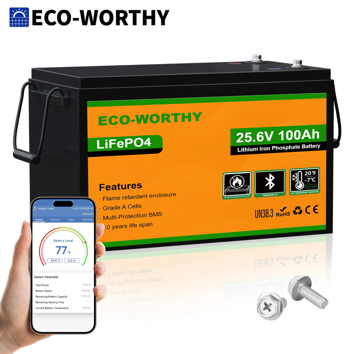 ECO-WORTHY LiFePO4 Lithium Battery With Bluetooth Low Temperature Protection
