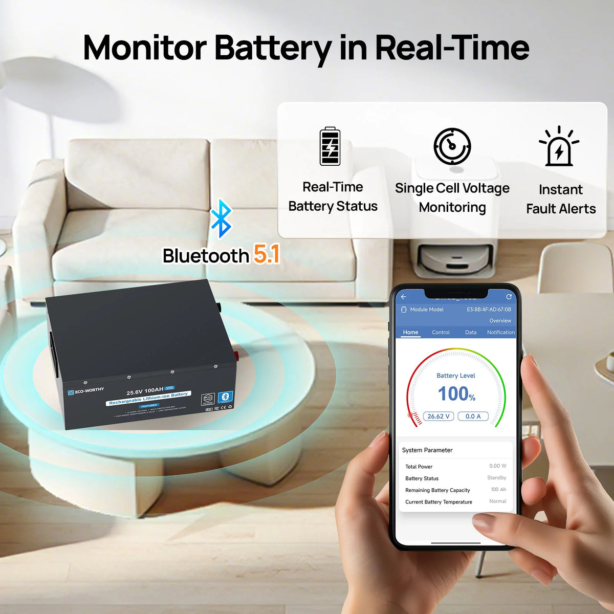 ECO-WORTHY LiFePO4 Lithium Battery With Bluetooth Low Temperature Protection